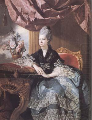Queen Charlotte (mk25), Johann Zoffany